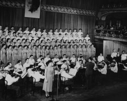 Lucerna 1955